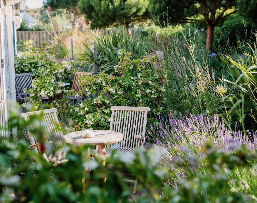 The Gallivant photo 2