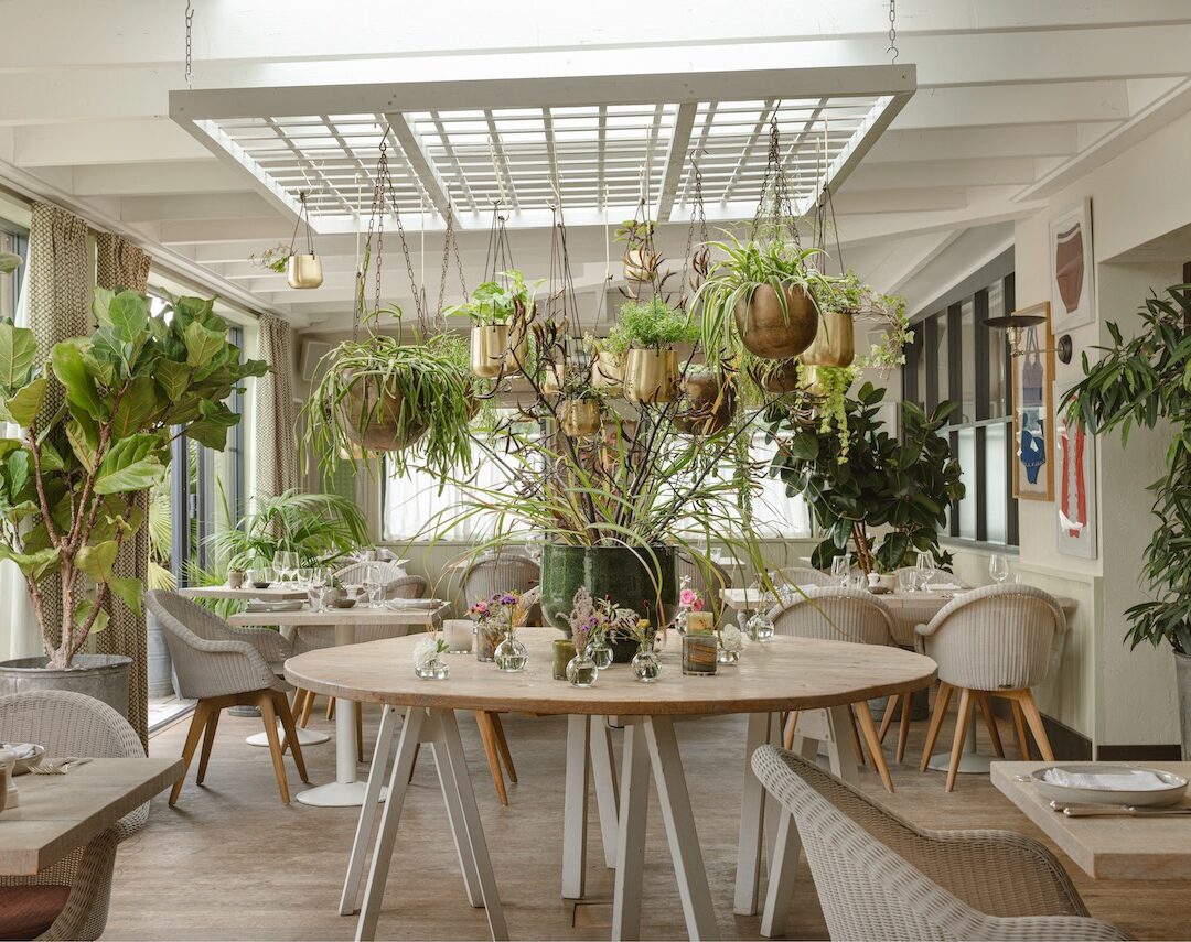 The Gallivant photo 4